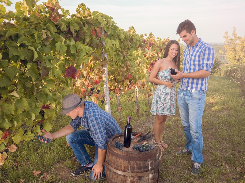 Les partenariats avec les OTA pour promouvoir les expériences autour du vin