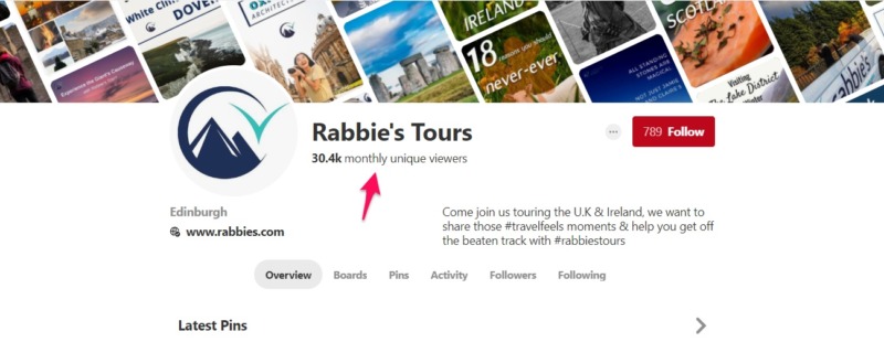 rabbies pinterest