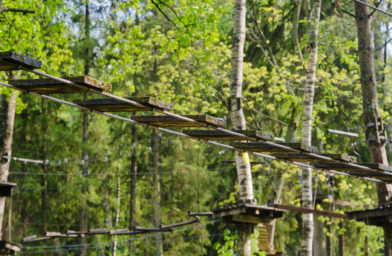 Buchungssystem für Kletterparks: So digitalisiert du dein Angebot